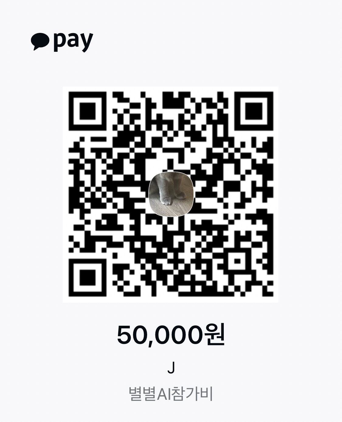 별별AI 참가비 5만원 카카오페이 송금 QR